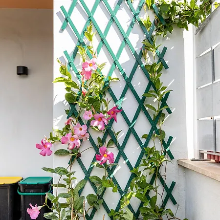 Mrb Real Estate - Maison Ludovica - Monolocale Moderno Con Giardino Frattocchie